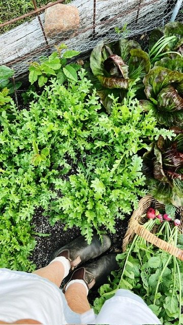 Spring Greens.jpg