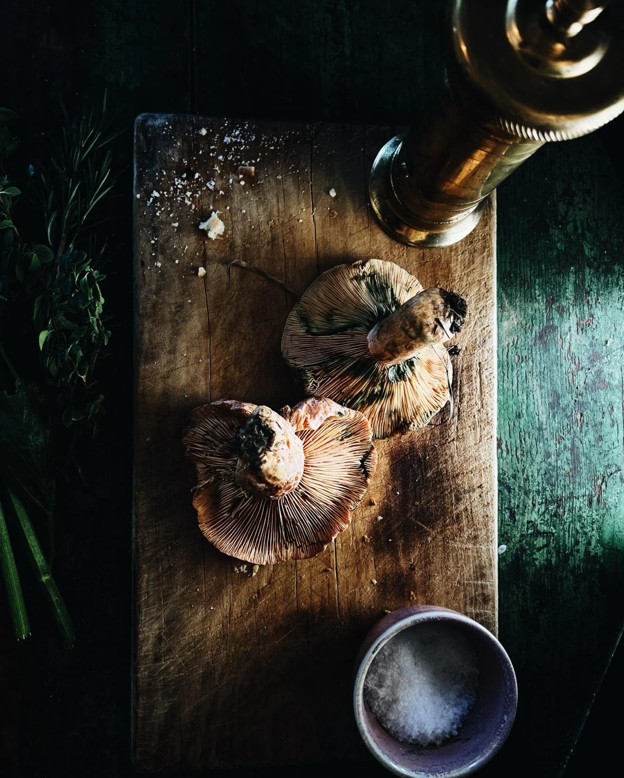 mushrooms on board.jpg