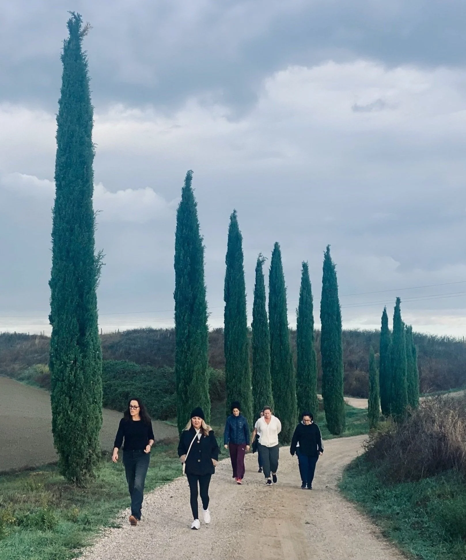 groupcypress.jpg