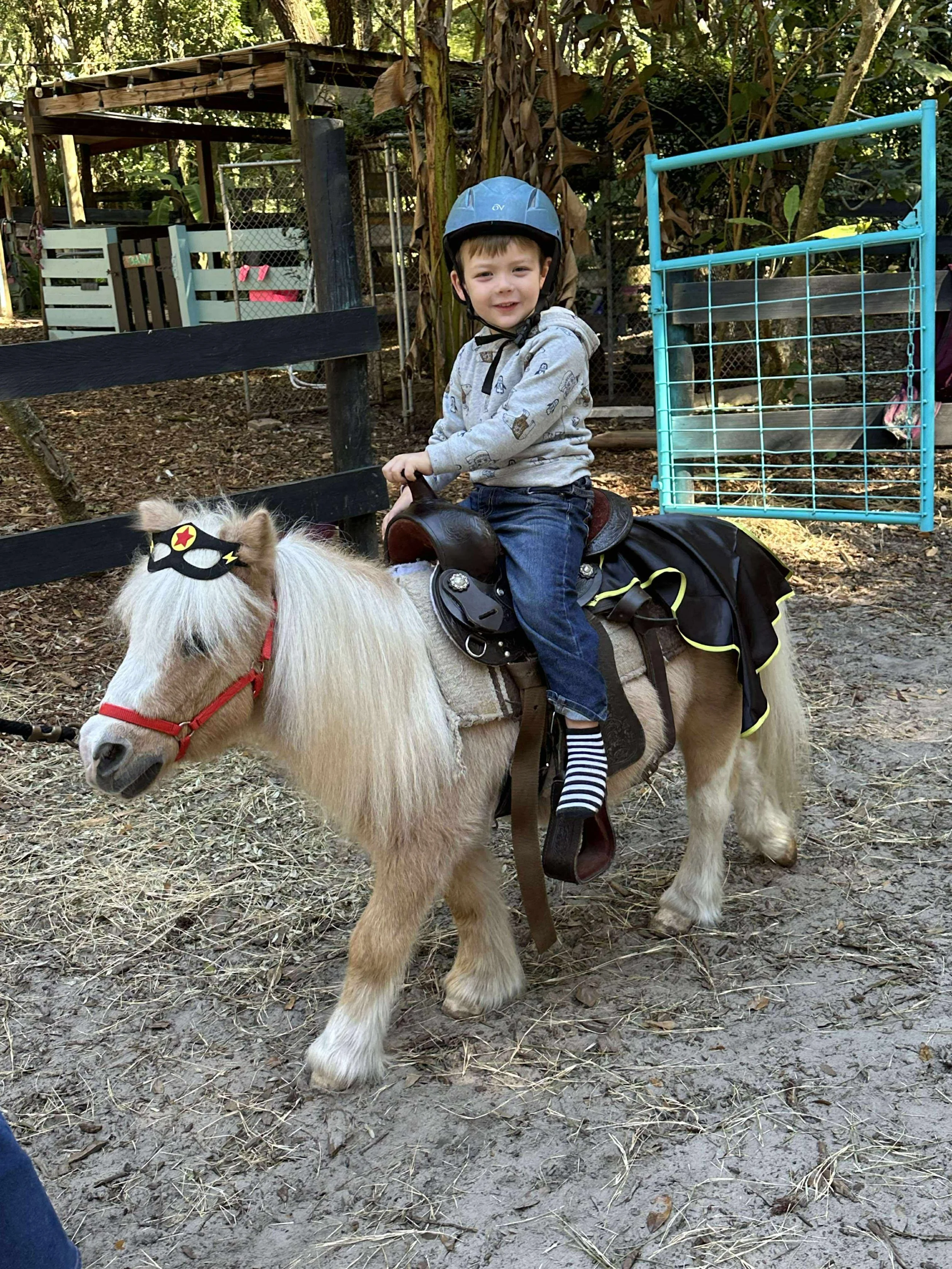 Mini Pony Rides