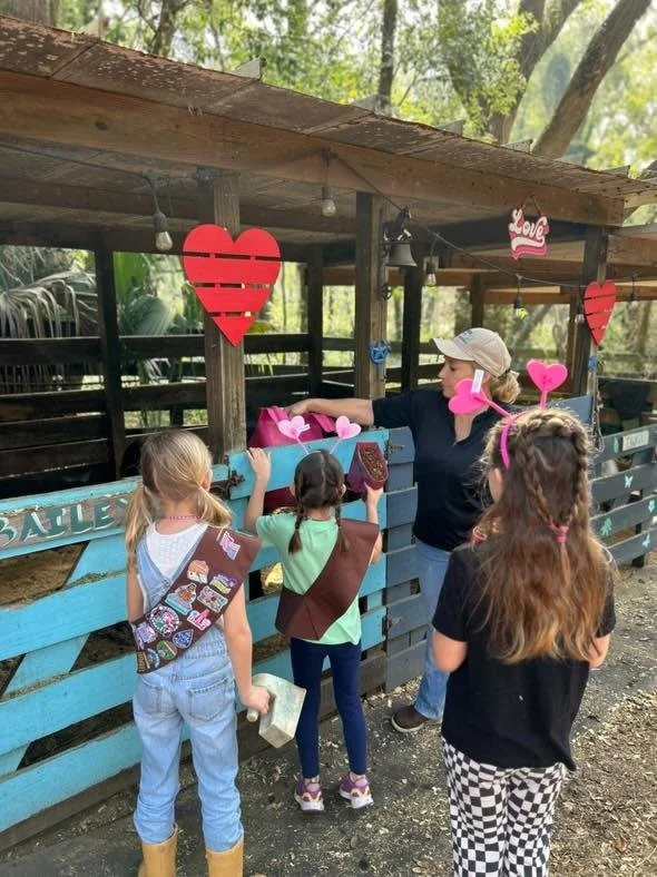 Feeding the horses