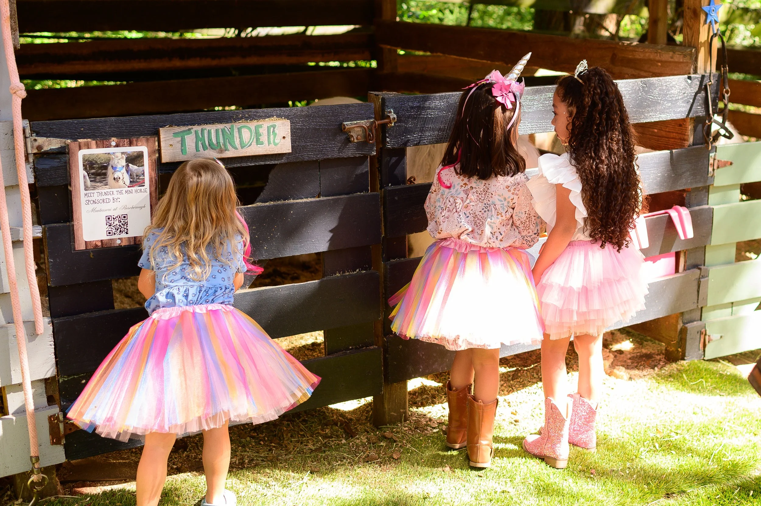 Unicorn Birthday Party