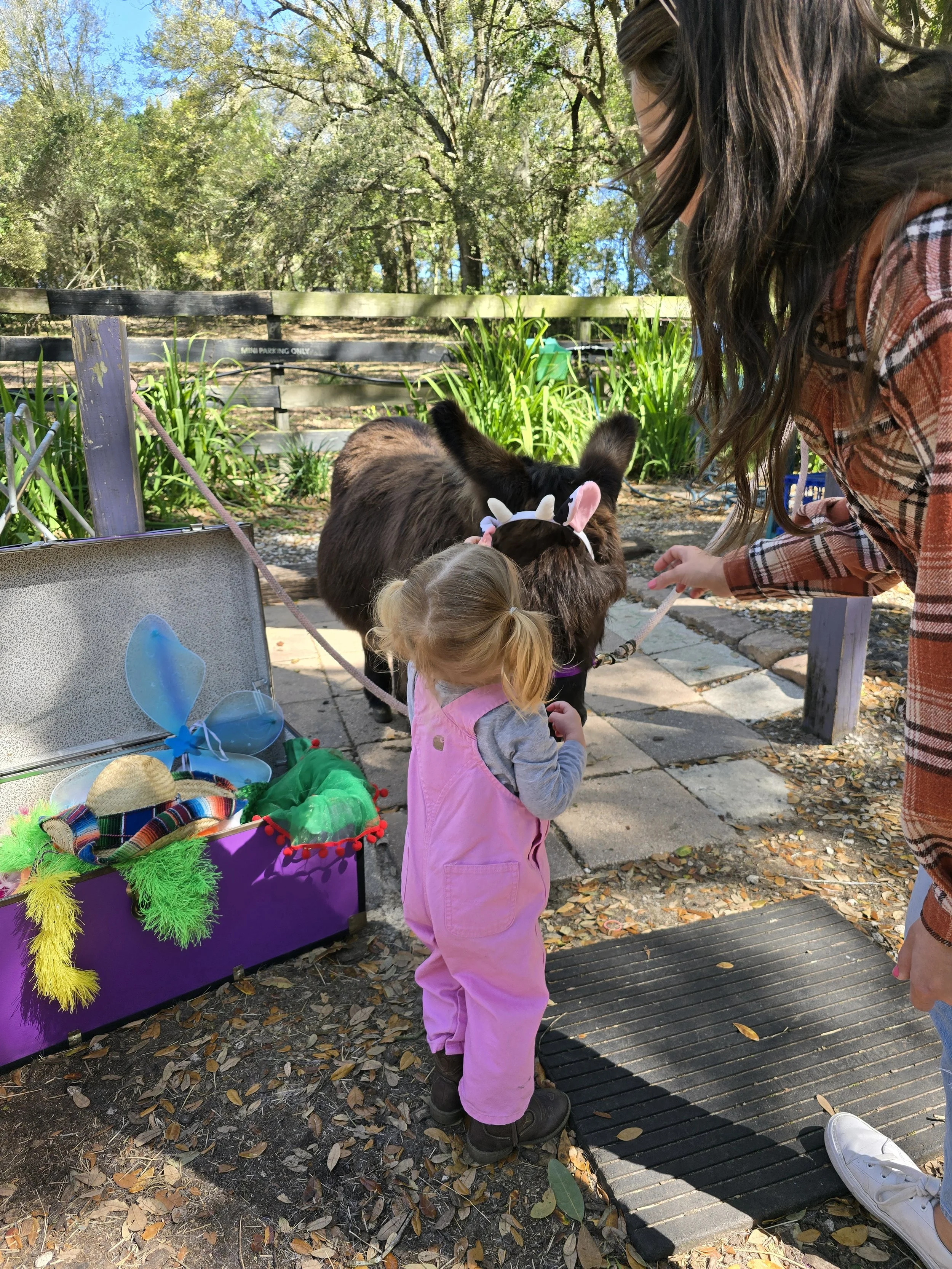 Toddler Things To Do