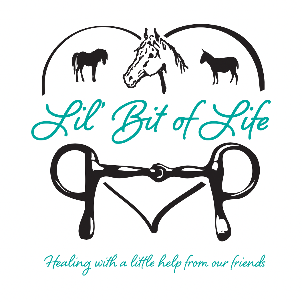 Lil' Bit of Life