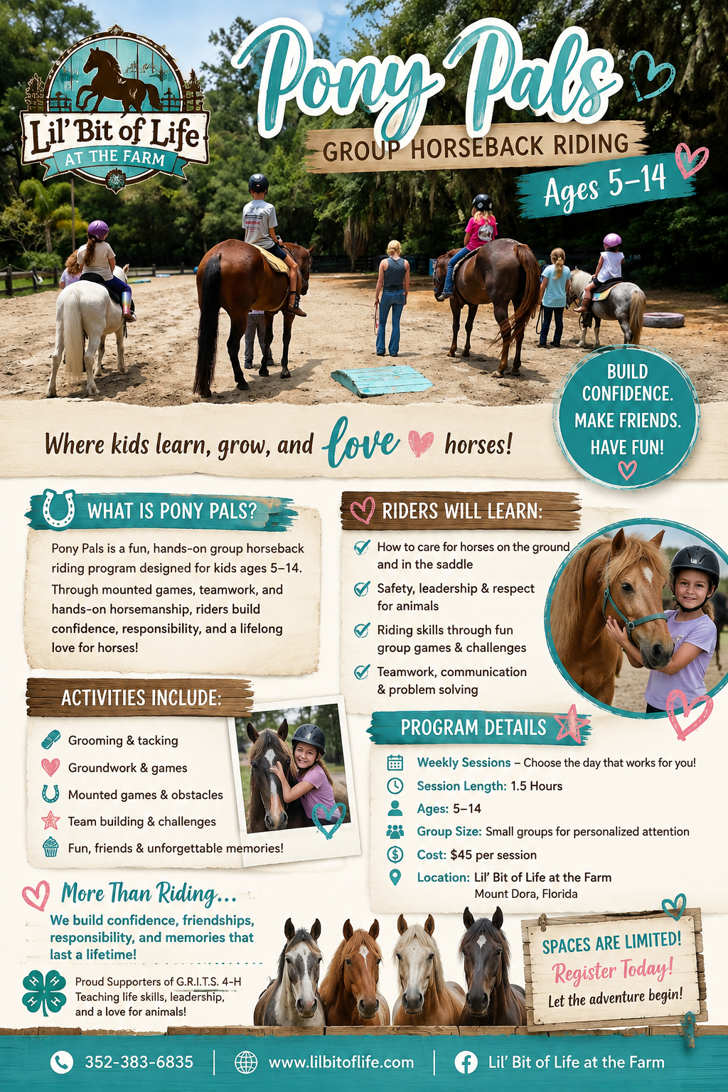 Pony Pal Program Fun Facts