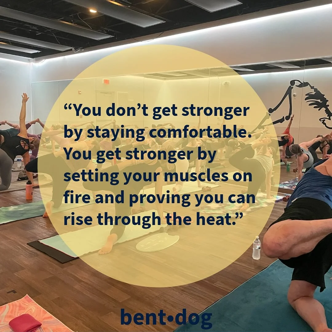 #wednesdaymotivation #humpday #bentdogyogaandpilates #hotpilates #hotyoga #quoteoftheday