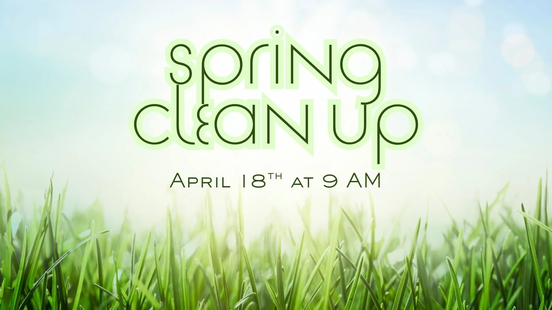 Spring Clean Up