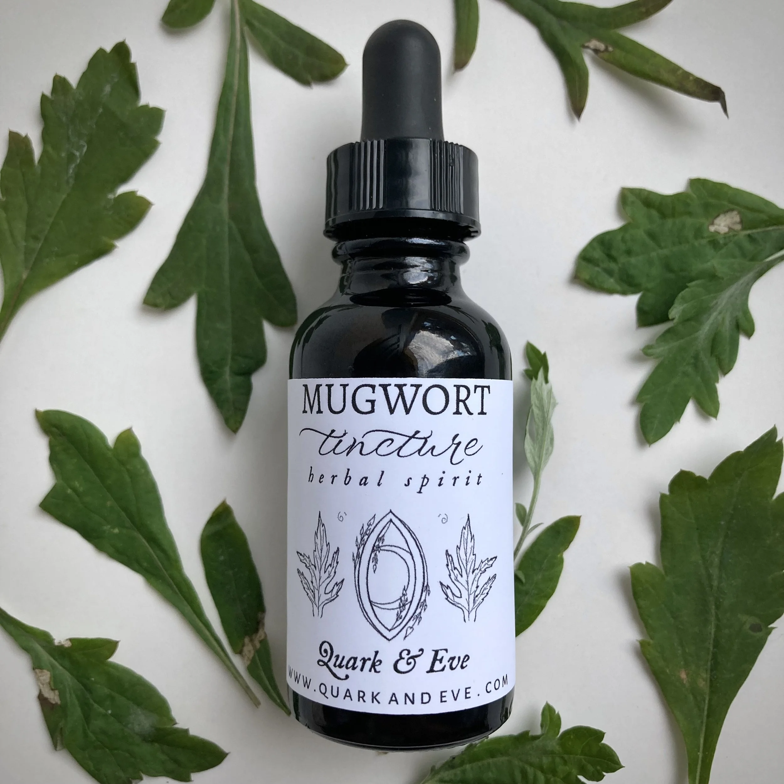 Mugwort Tincture