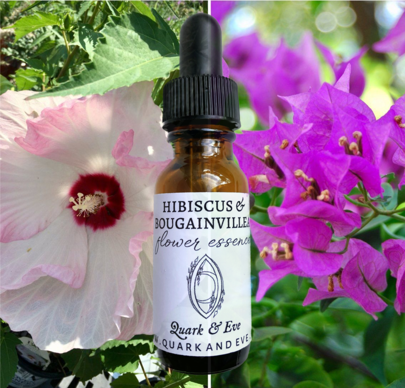 Hibiscus & Bougainvillea Flower Essence
