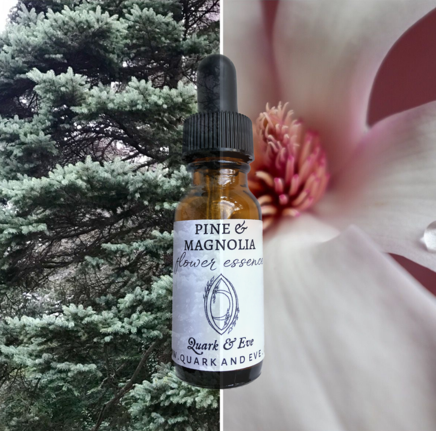 Pine & Magnolia Flower Essence