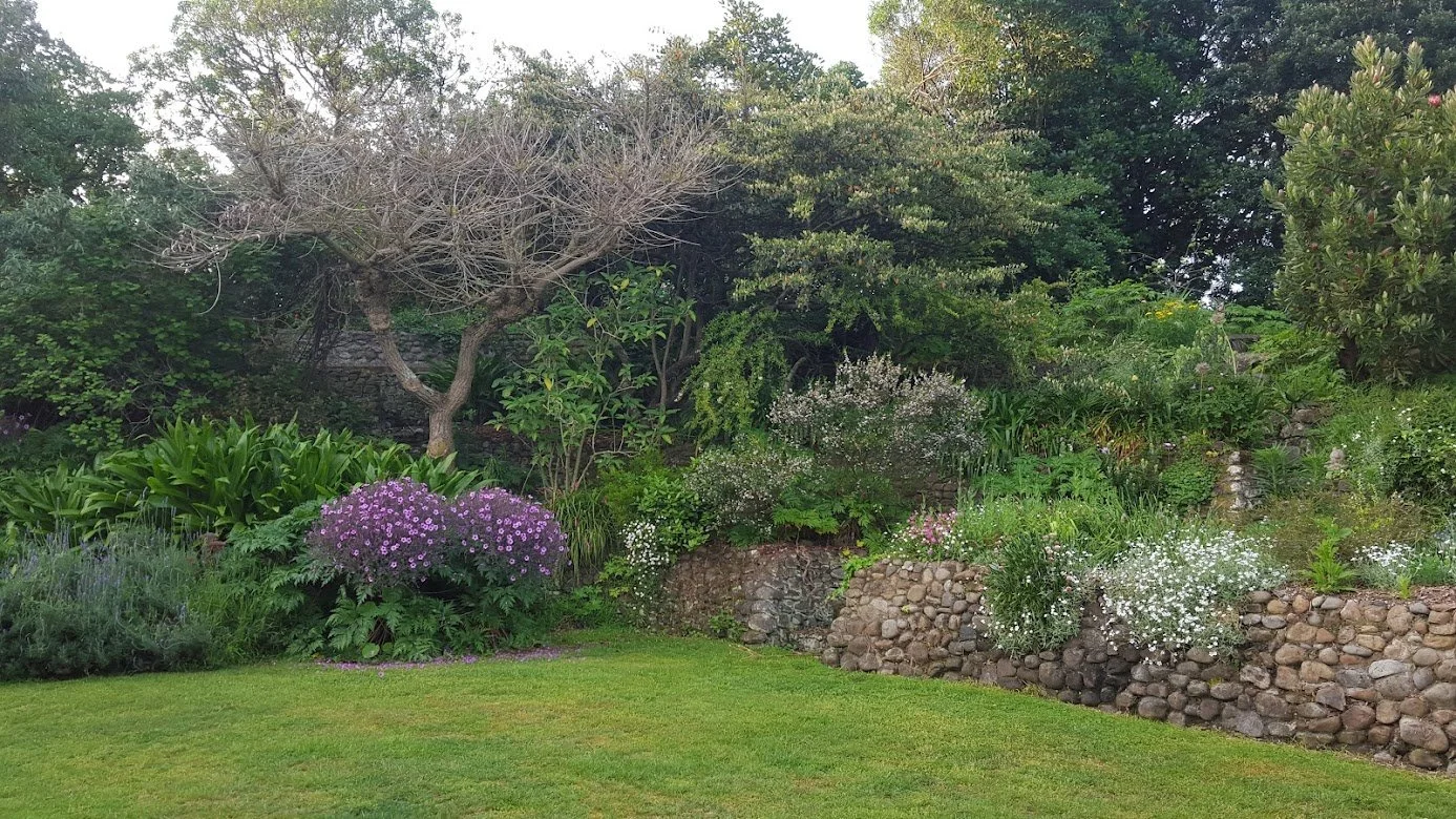 Marly's stone walls fully planted