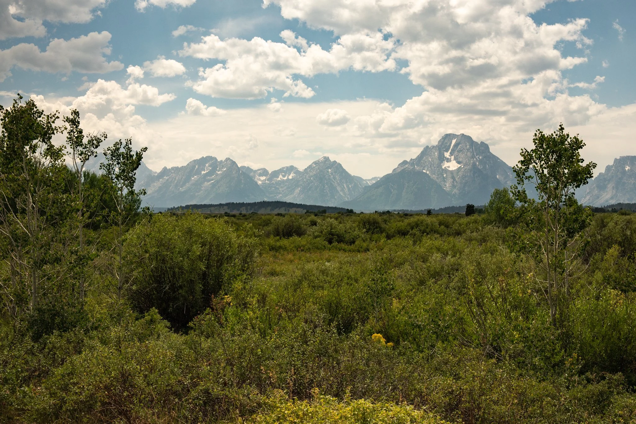 Grand Tetons