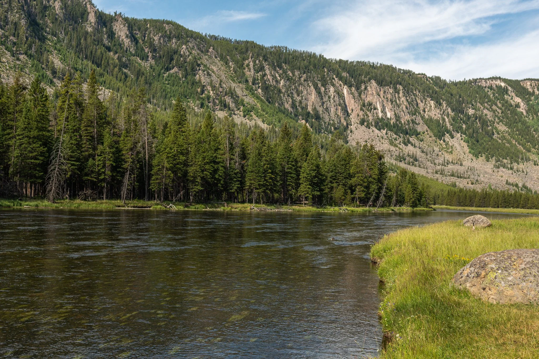 Yellowstone