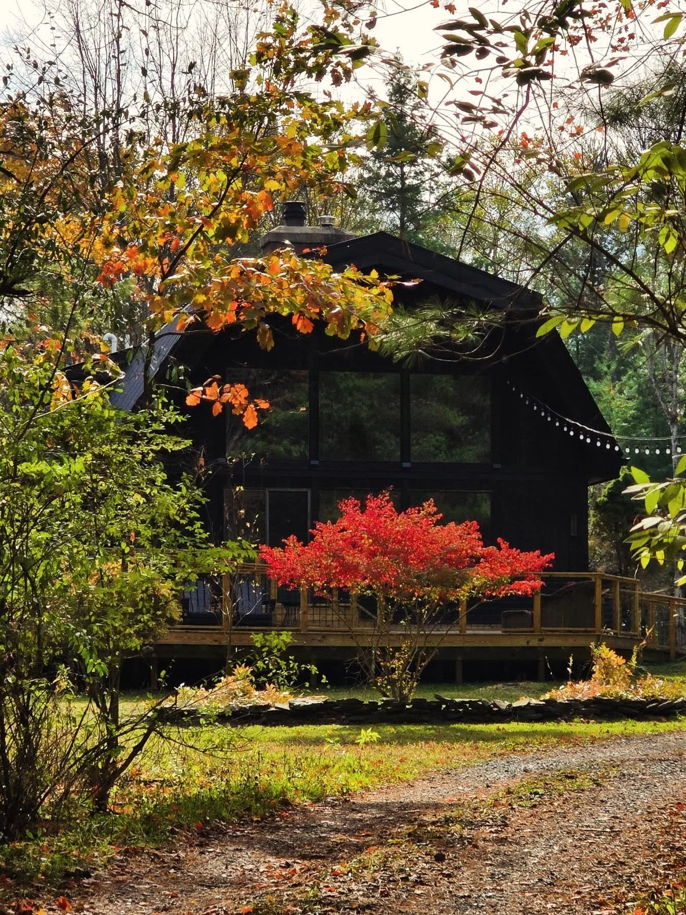 That moment when you&rsquo;re driving down the long wooded driveway and The Hideaway slowly emerges from the trees&hellip; it gets us every time. 🌲✨
Tucked deep in the forest yet just minutes from Keuka Lake, there&rsquo;s something about that revea