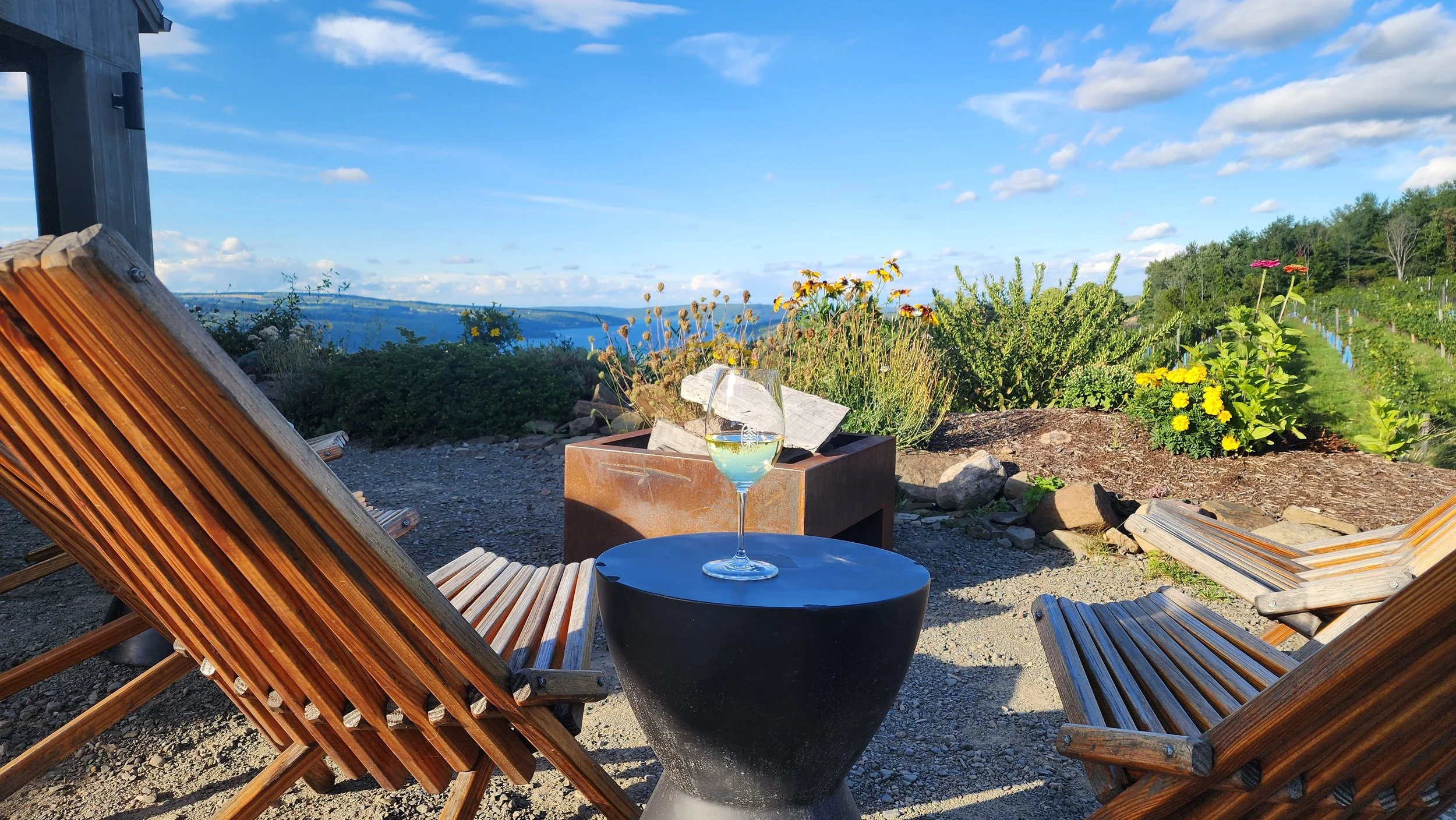 Living Roots Wine & Co. – Unveiling the Wine Gem of Hammondsport, NY ...