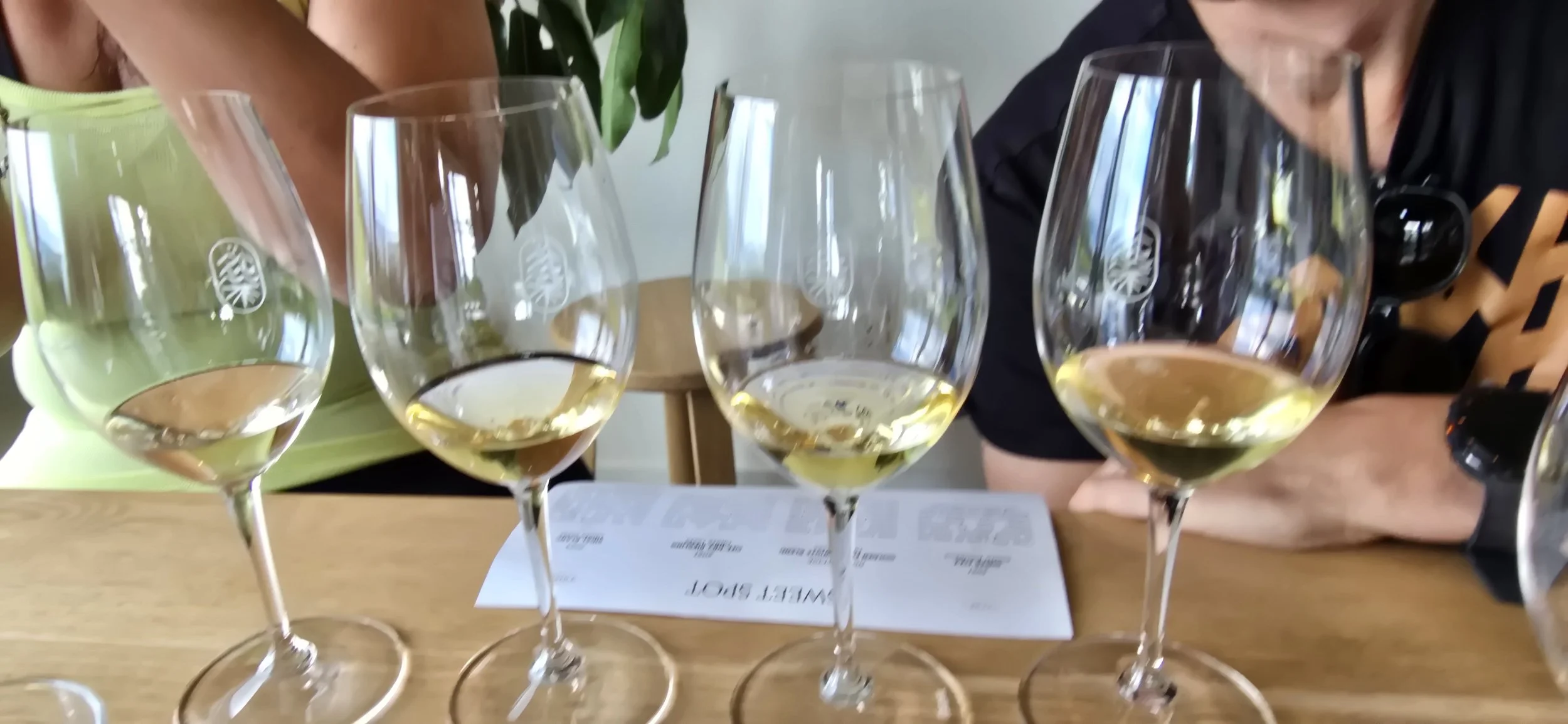 Living Roots (7).jpg