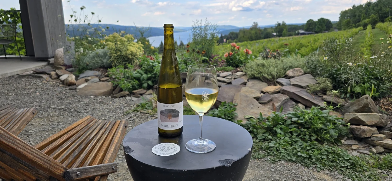 Living Roots Wine & Co. – Unveiling the Wine Gem of Hammondsport, NY ...