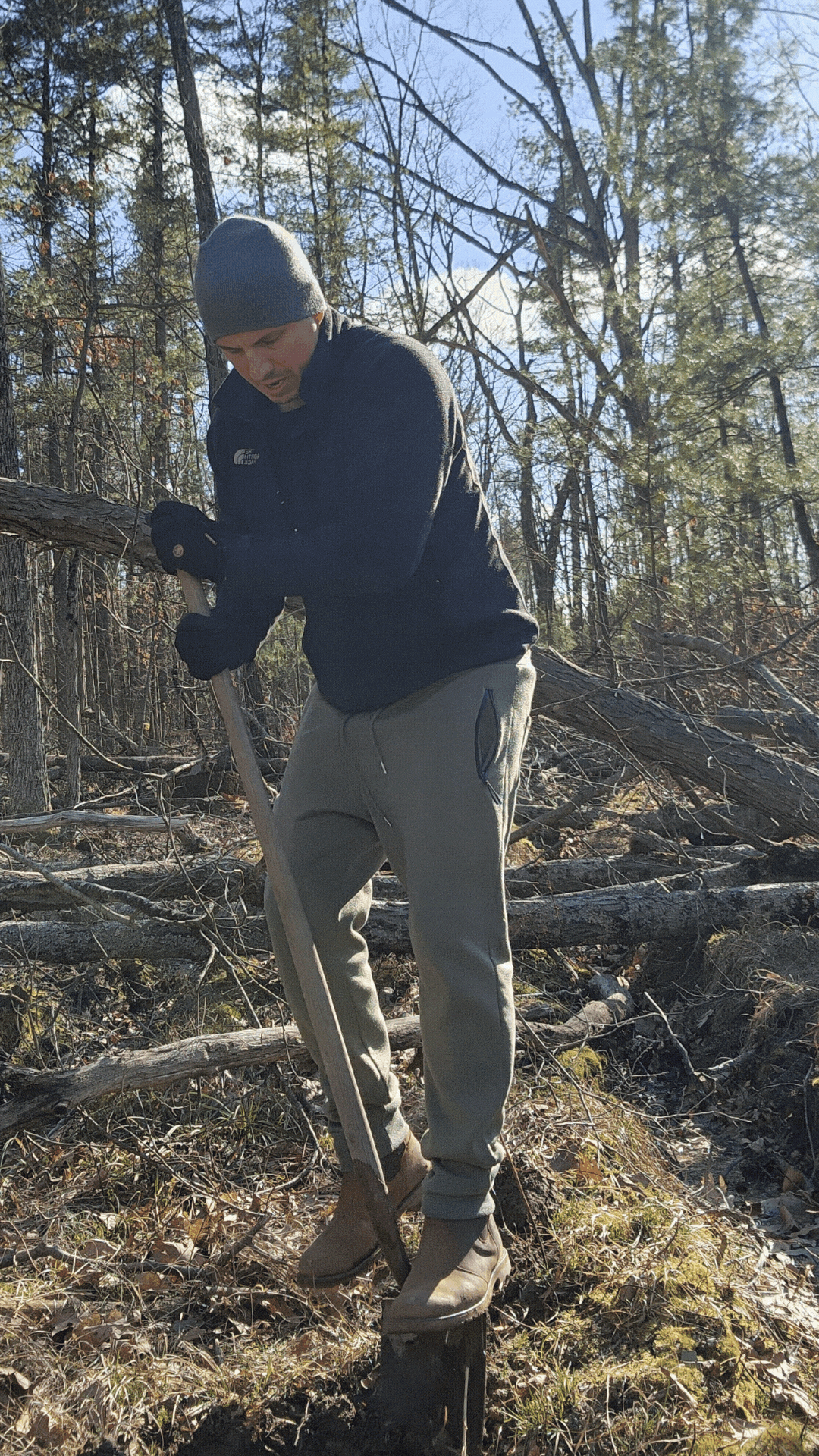 Planting Blackberry GIF.gif