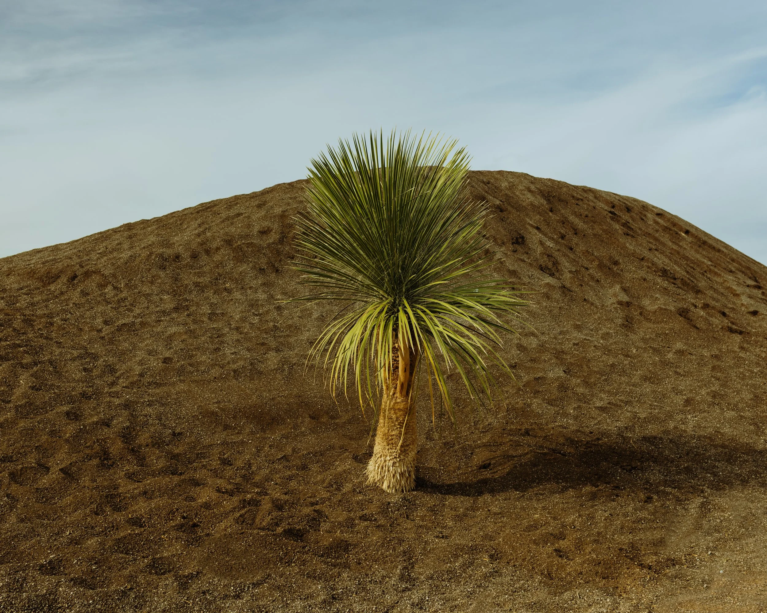 IMG_1611-Edit 4x5 crop.jpg