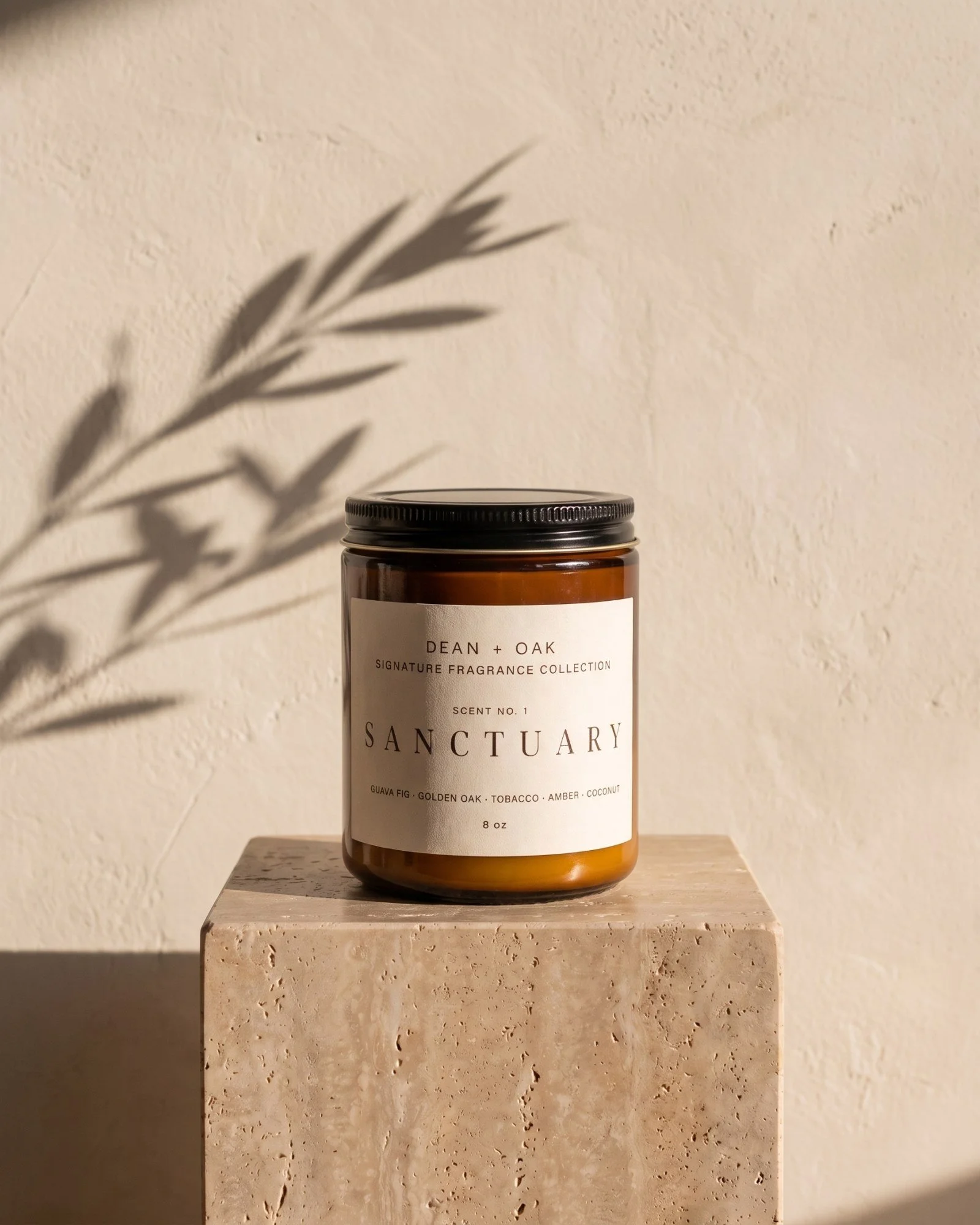Dean + Oak Sanctuary in Amber Glass, in morning light