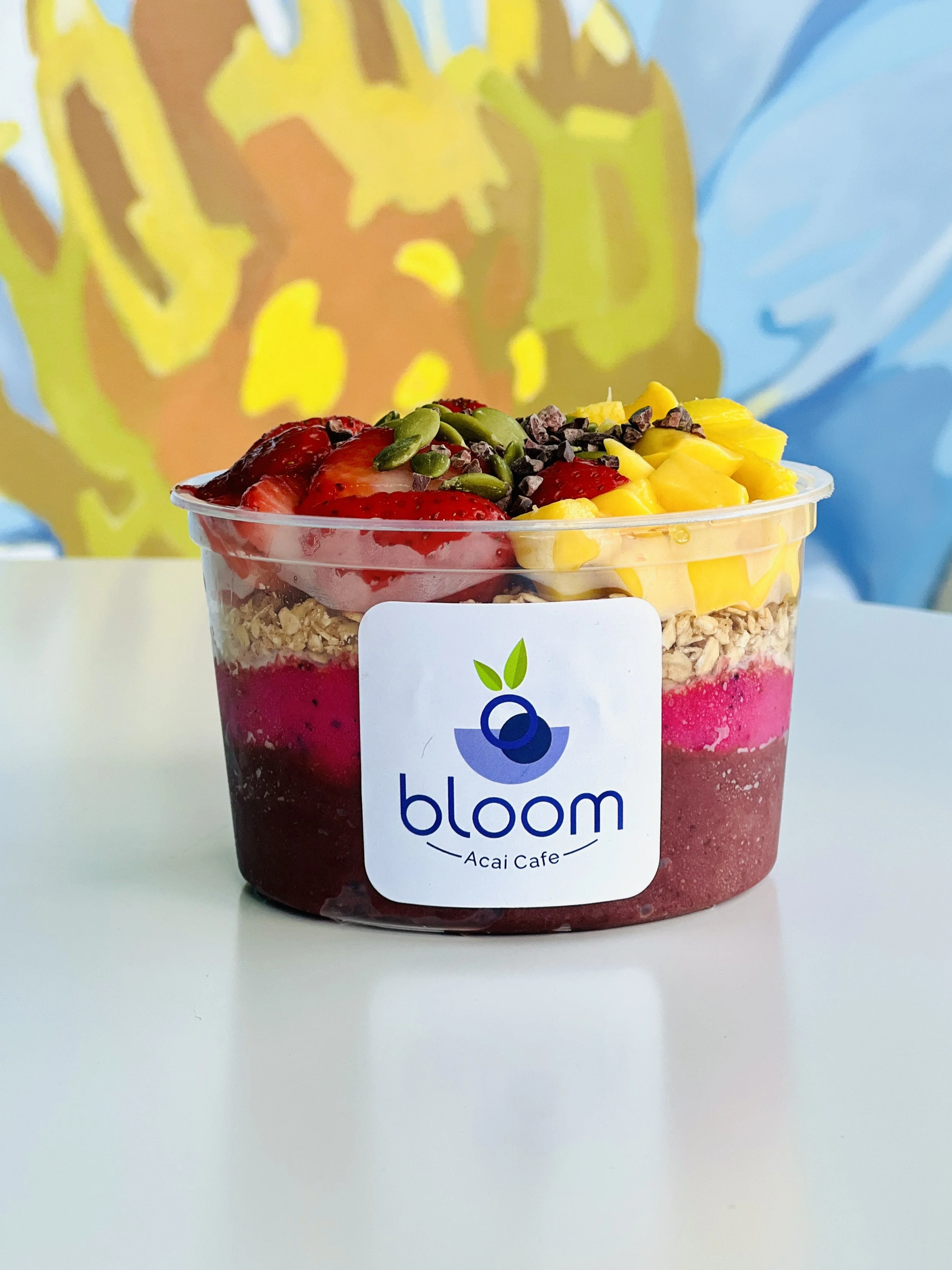 Loon Bowl  (12 oz)
