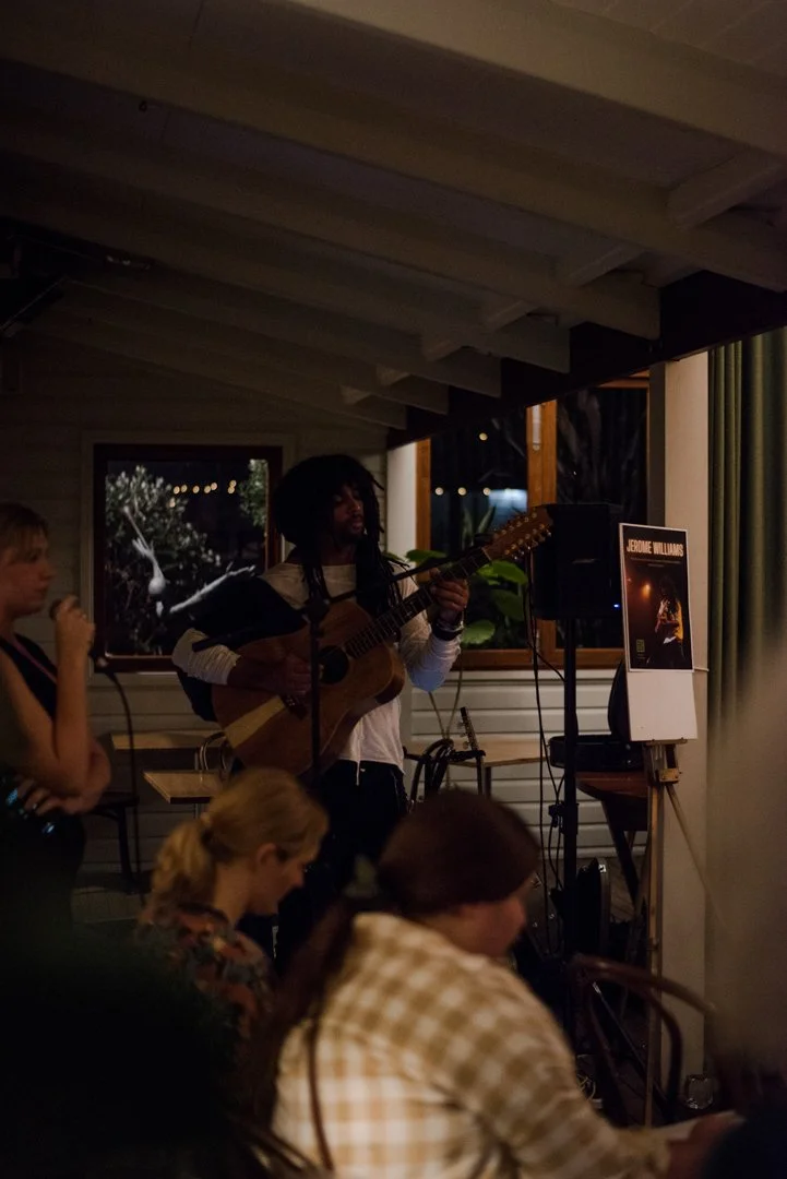 Modern Renaissance brings life drawing entertainment to private homes, venues, workplaces and events across the Northern Rivers.