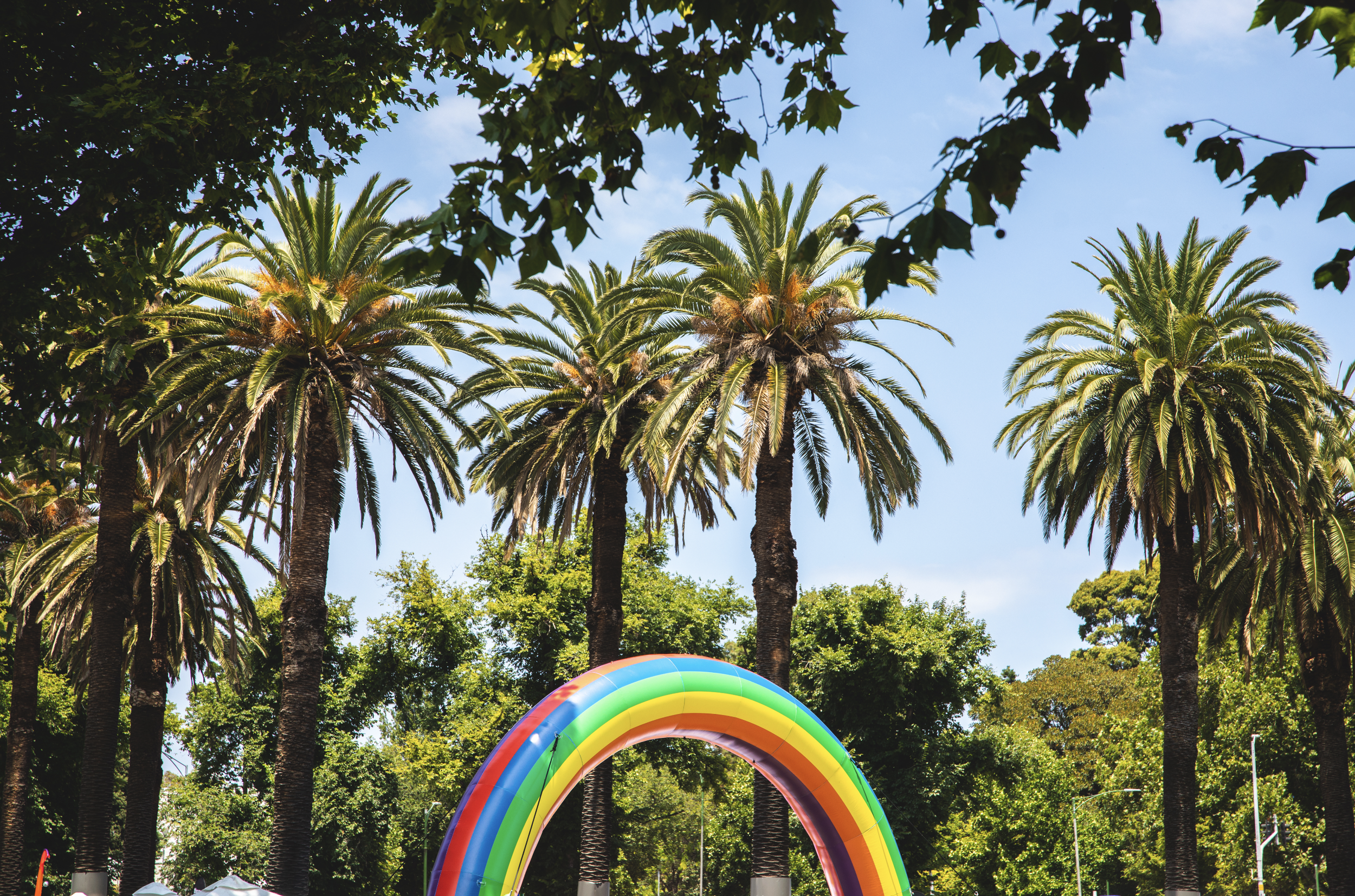 Roadshow under the rainbow