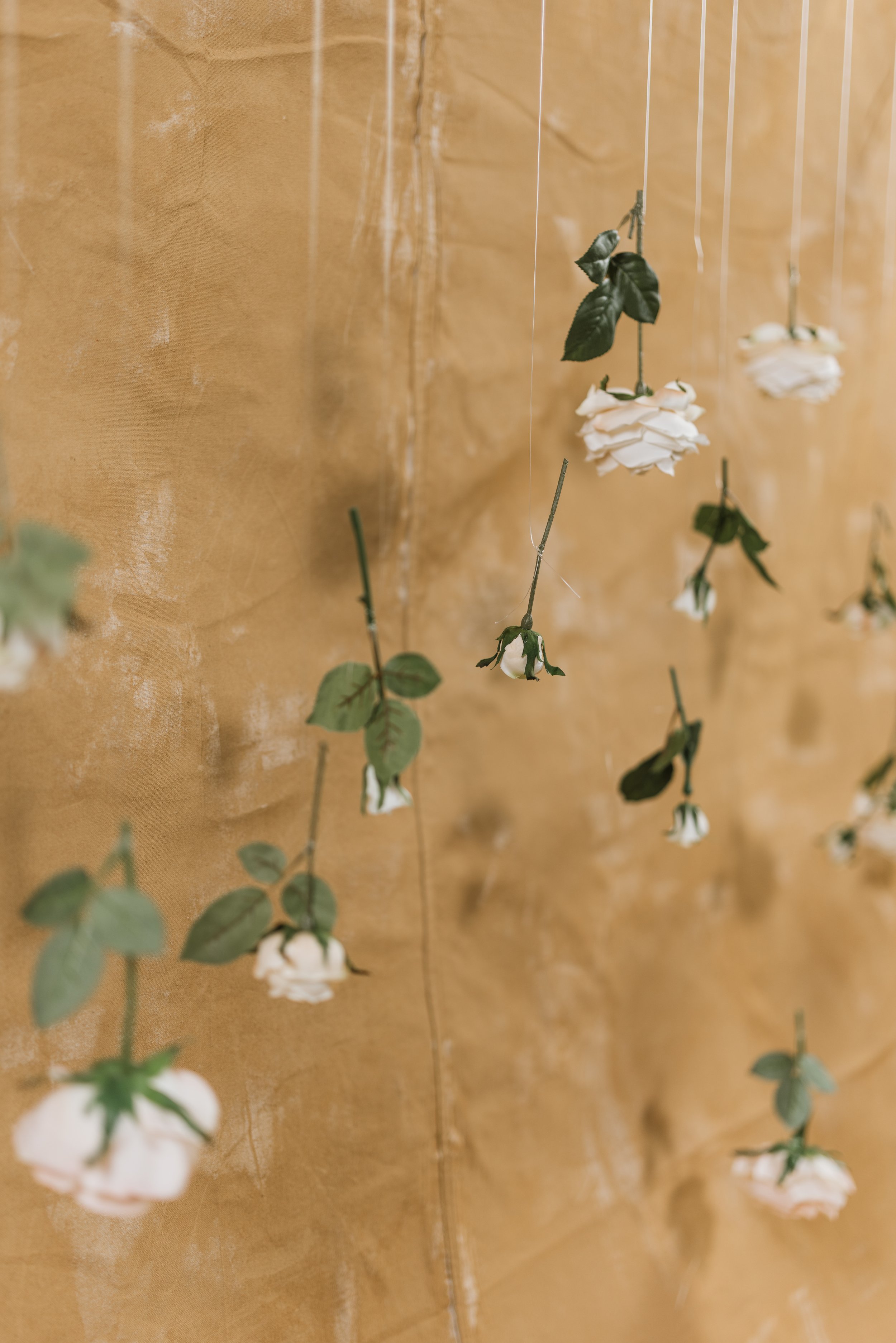 New Wave Studio Mothers Day Set-10.jpg