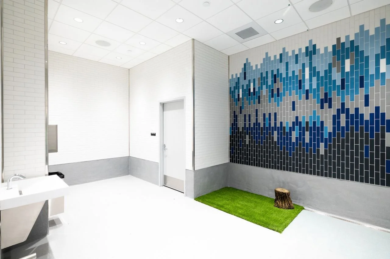 airport-interior-serviceanimal-wall-tile-design-finsihes.jpg