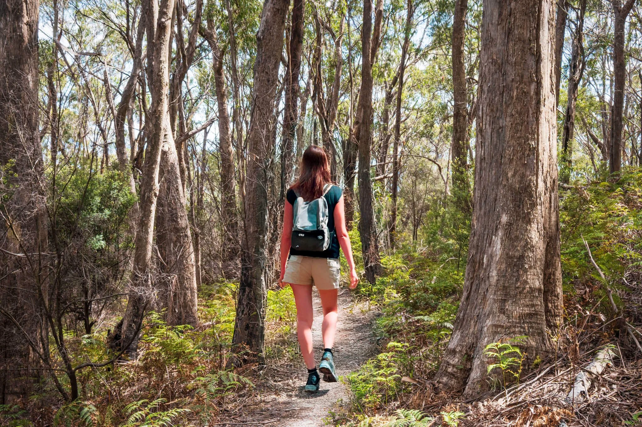Bush Walking | Rustic Hut Bush Retreat