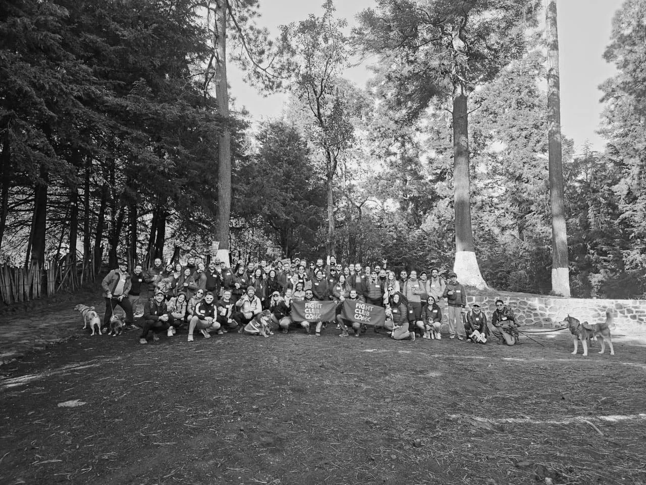 FIGHT CLUB CDMX NETWORKING EVENT: 4 HOURS MEDIUM-EASY LEVEL