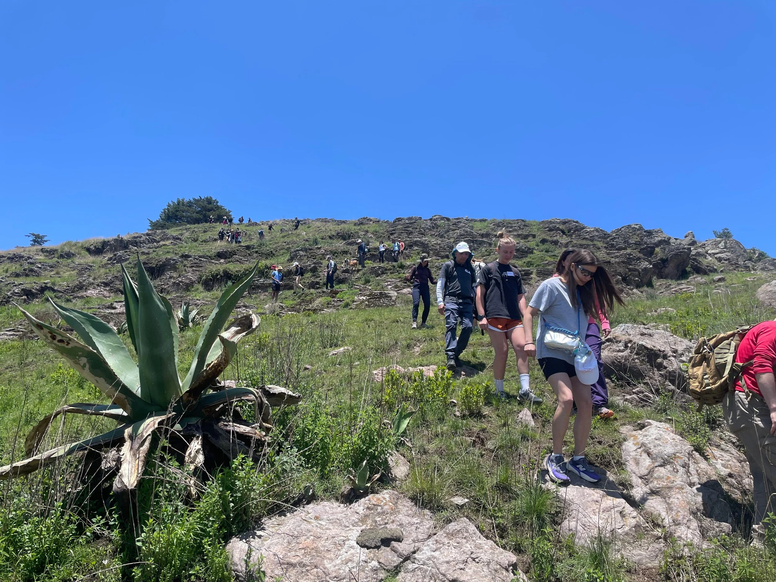 FIGHT CLUB CDMX NETWORKING EVENT HIKING NETWORKING MEDIUM LEVEL MEXICO HIKING NETWORKING 2.jpeg