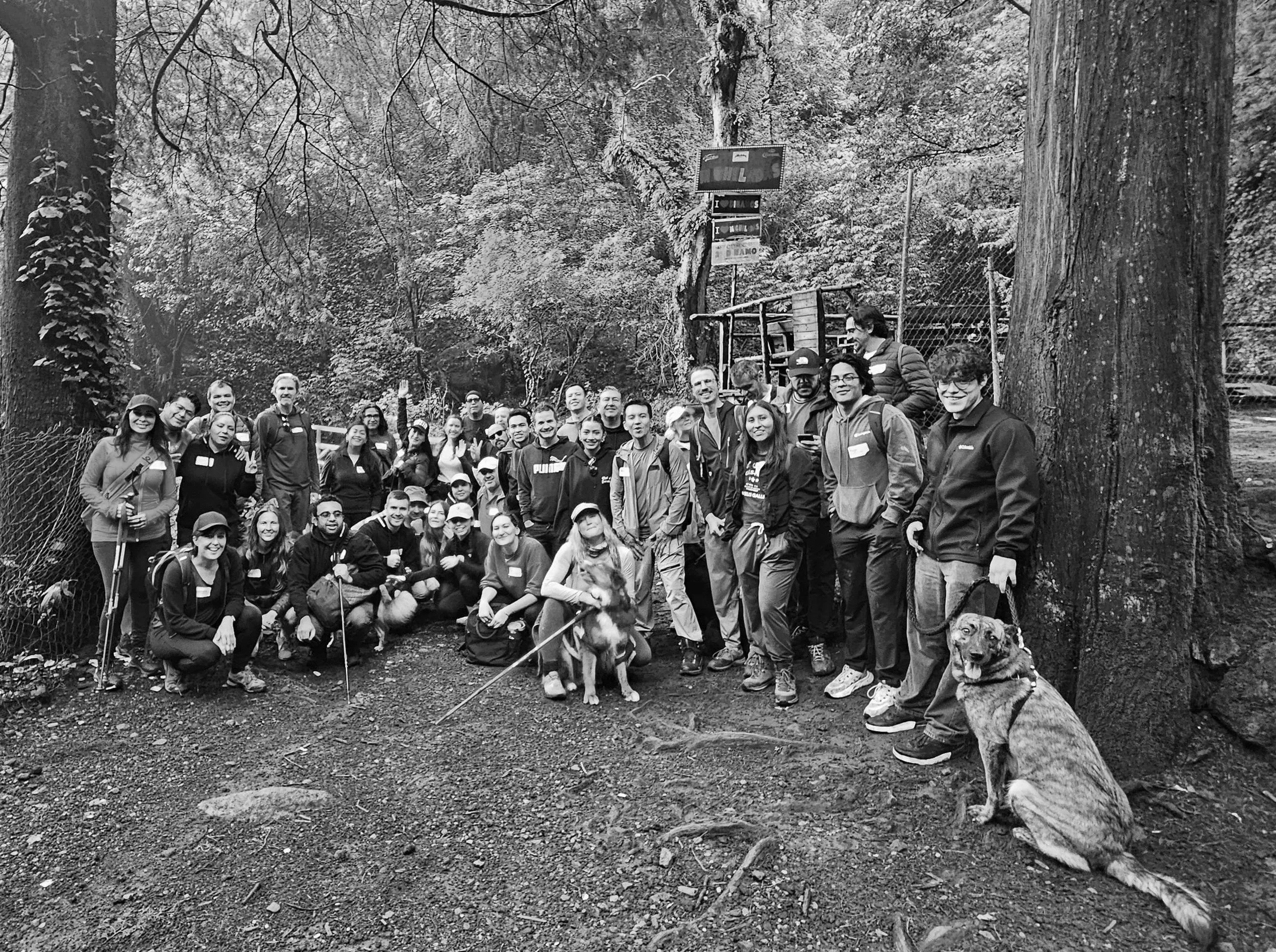 FIGHT CLUB CDMX NETWORKING EVENT: 4 HOURS MEDIUM LEVEL WITH RIVER CROSSING AND JUNGLE CLIMBING