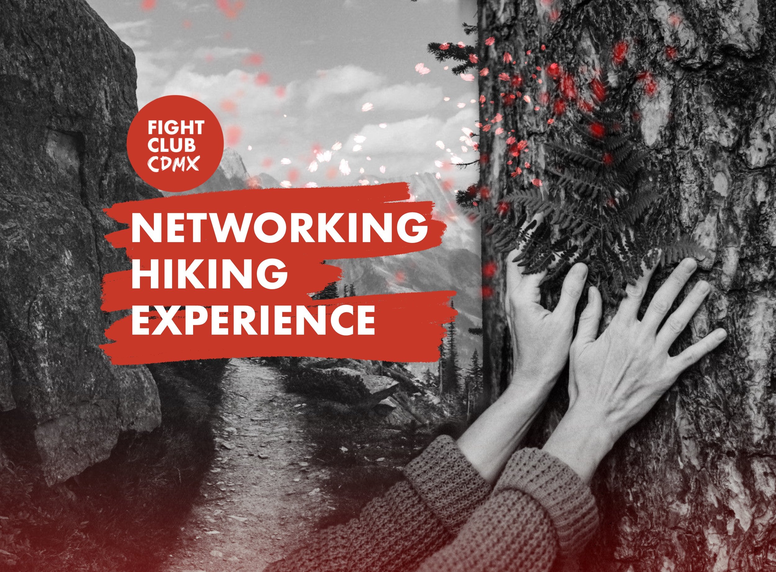 NETWORKING HIKE *SUN IN THE SKY* - 60 MIN AWAY FROM CDMX [EASY - 3 HOURS]