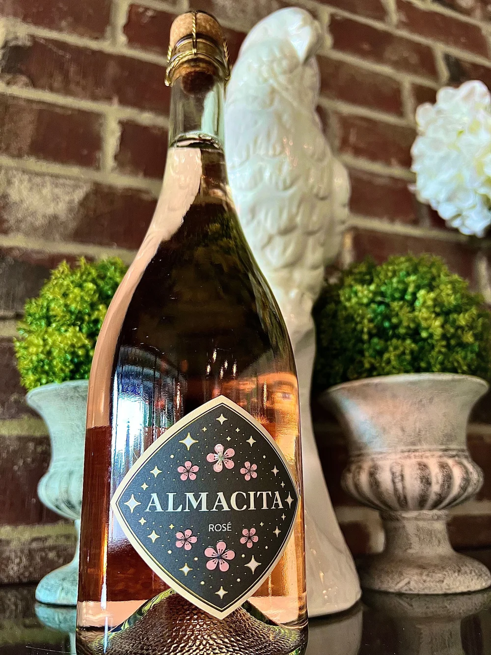 Gallery — Bodega Wine Dive