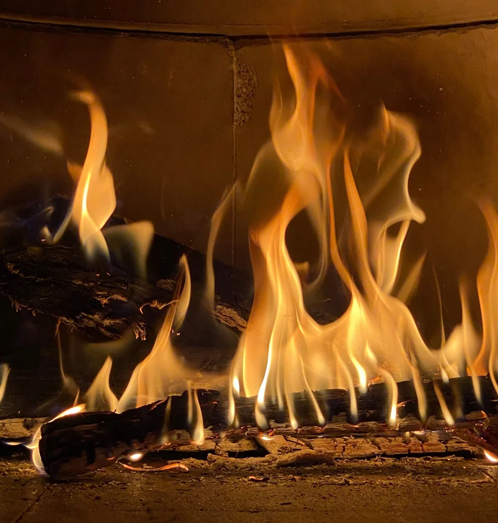 Menu — Bodega Wine Dive