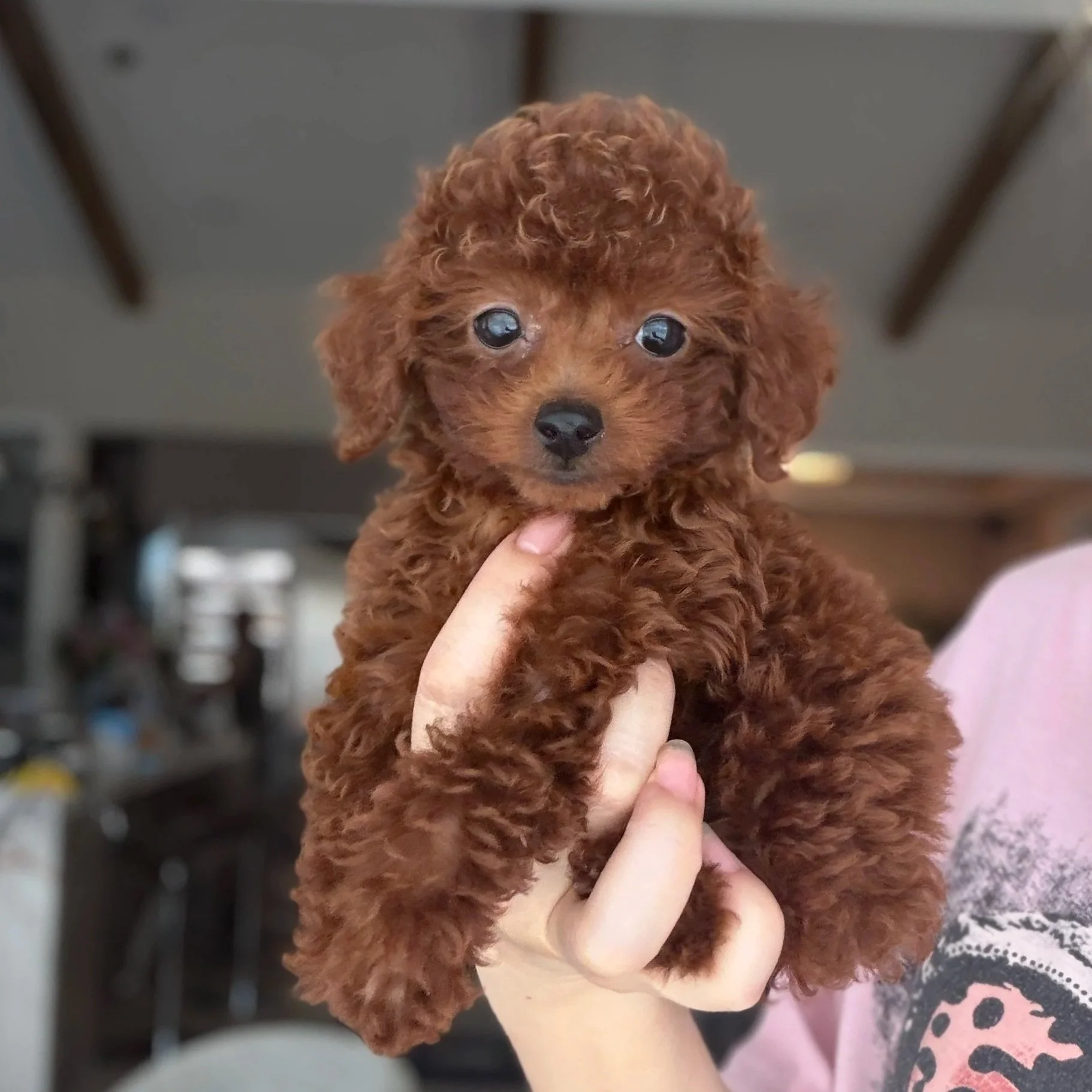 Lucky (Reserved)