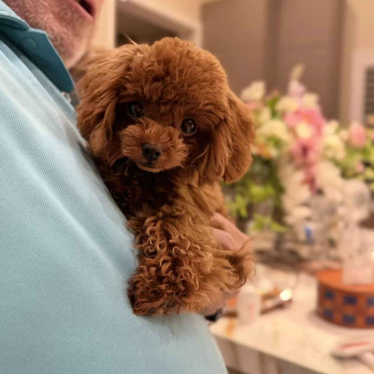 Marsha (Found a family!)