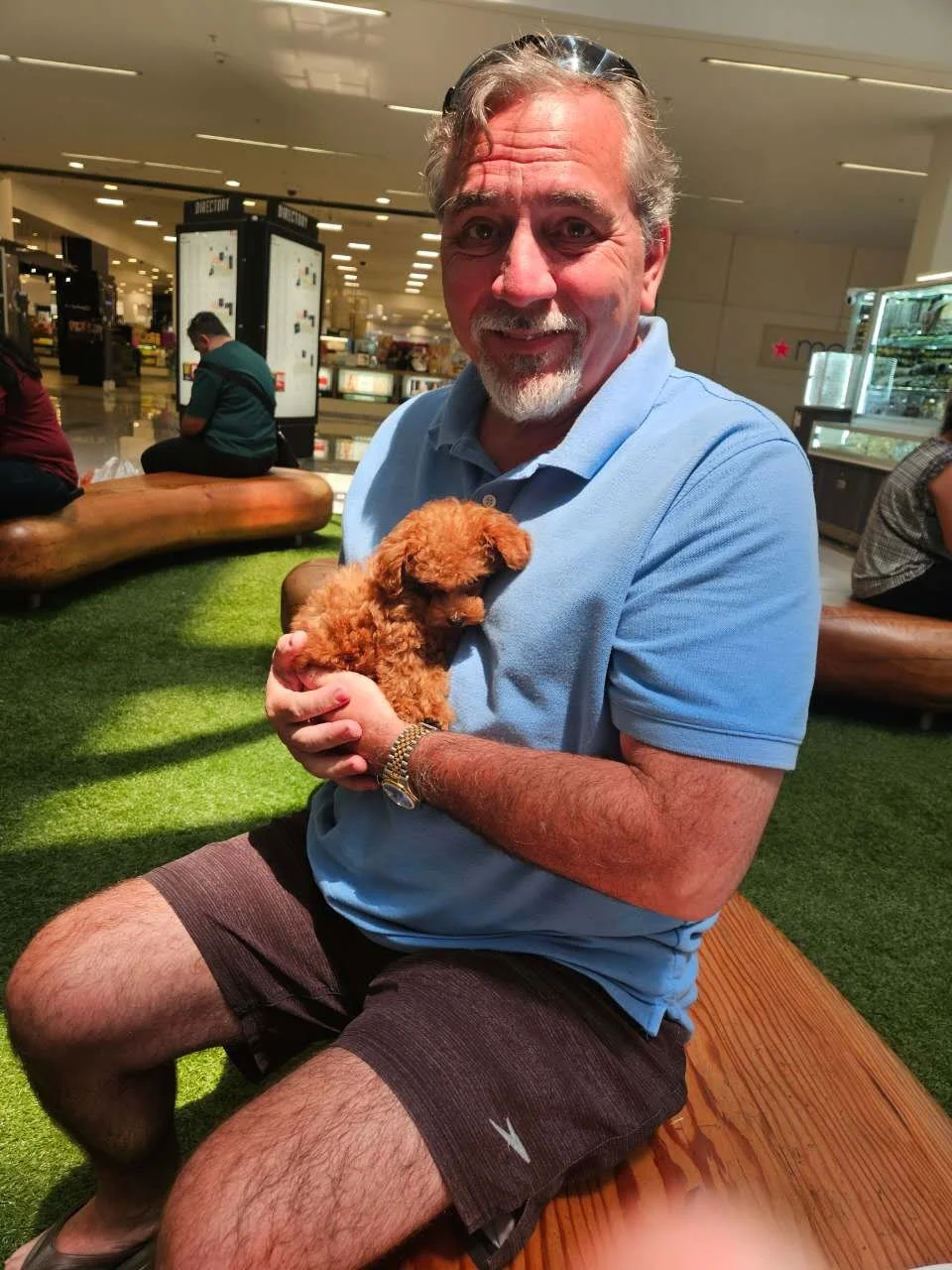 A man sitting on a wooden bench in a mall, holding a small brown puppy. He is smiling and wearing a light blue polo shirt, dark shorts, and a watch. There are other people and store displays in the background.