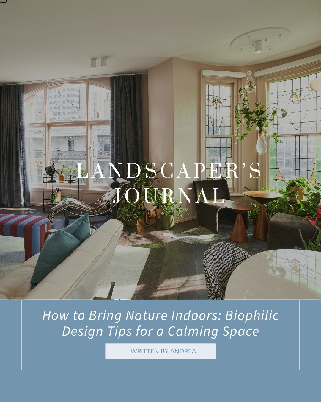 Breathe easy in 2025

Your space deserves more than just a pretty plant &mdash; it deserves cleaner air.
We&rsquo;ve rounded up the top air-purifying indoor plants to help detox your home and boost your wellbeing

Tap the link to see the full list ➡️