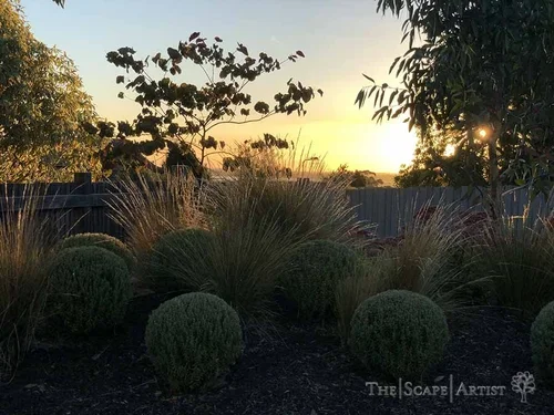 Australia’s National Climate Risk Assessment — what it means for our gardens, homes and neighbourhoods