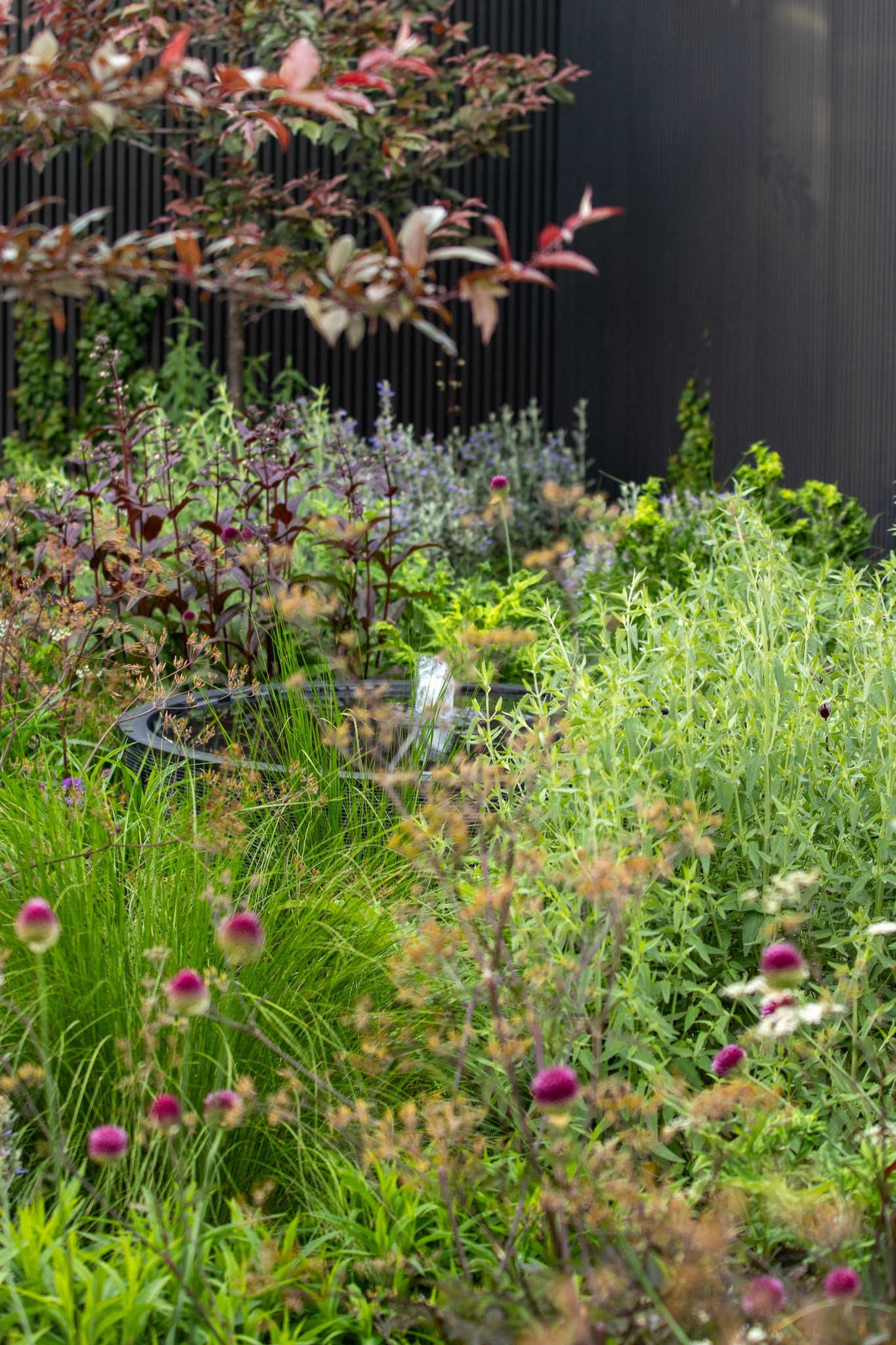 Layers and layers, accompanied by the sound of running water.

Carefully considered planting creates depth and softness, while subtle water elements add movement and atmosphere.

A space designed to engage more than just the eye.

#LandscapeDetails #