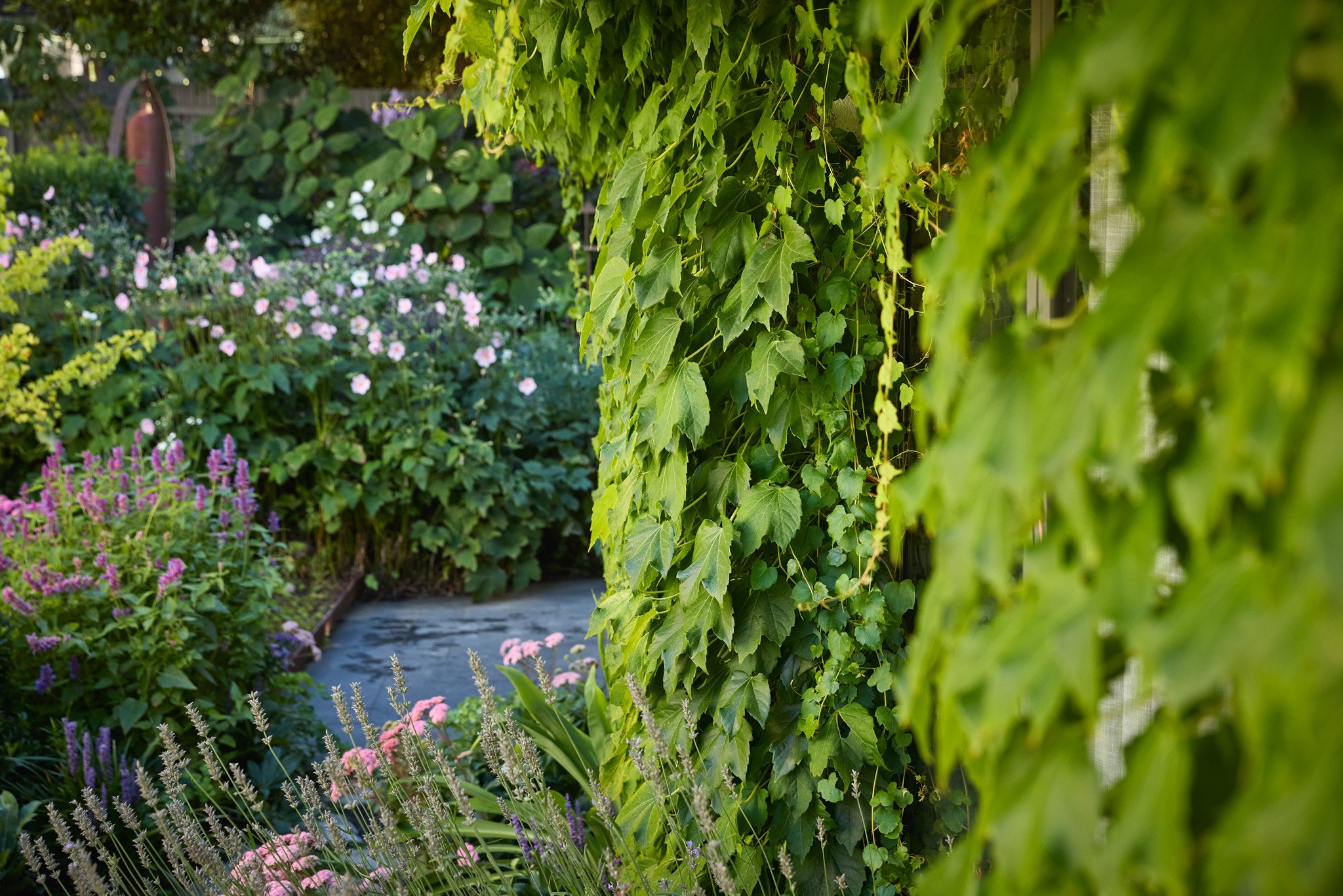 Vertical gardens are just as important as what sits at ground level.

They soften structure, blur the line between house and landscape, and bring nature right up to the walls.

It&rsquo;s not just about filling space &mdash; it&rsquo;s about layering