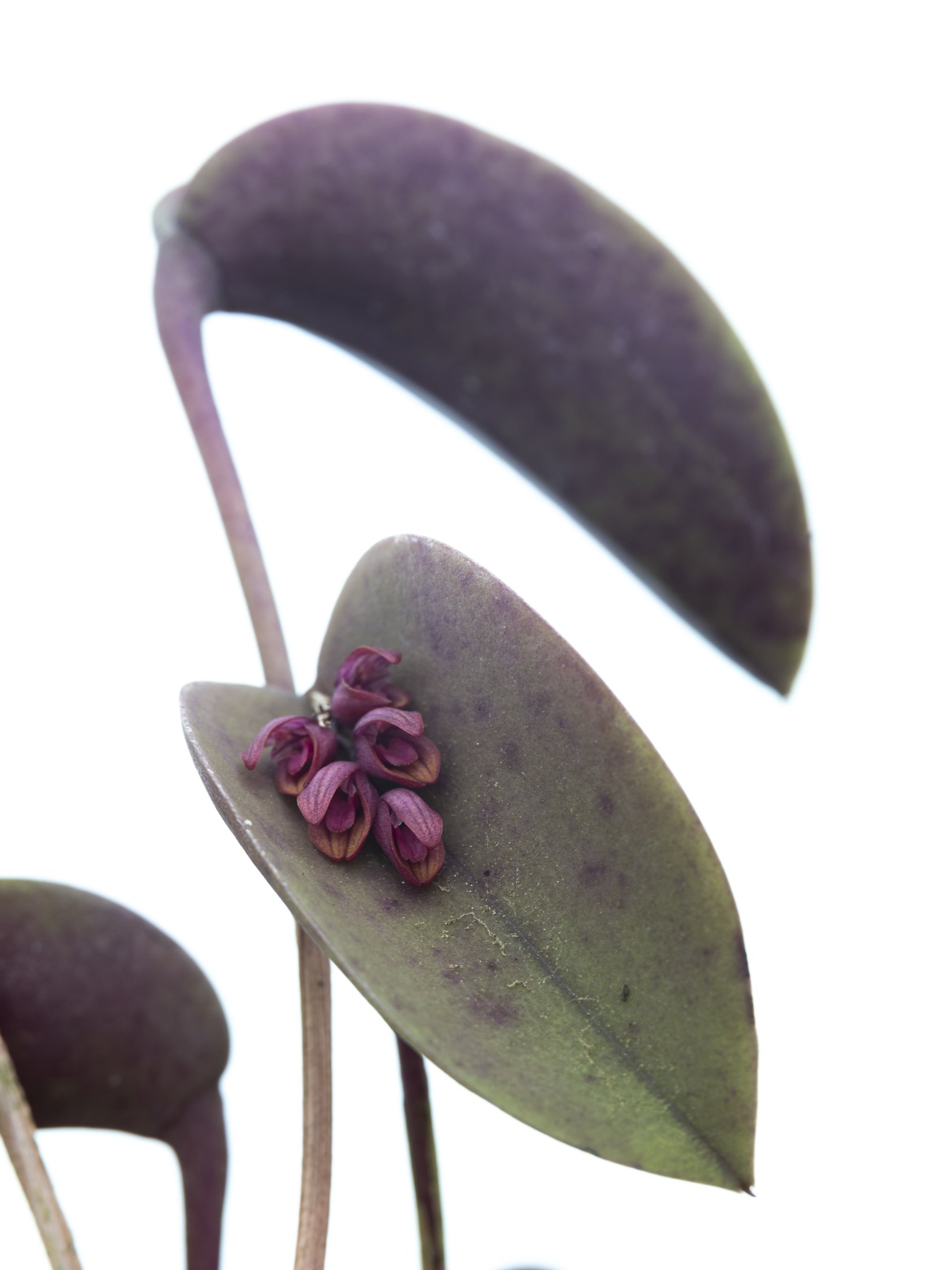 aw_DSF2703 Kopie.jpg