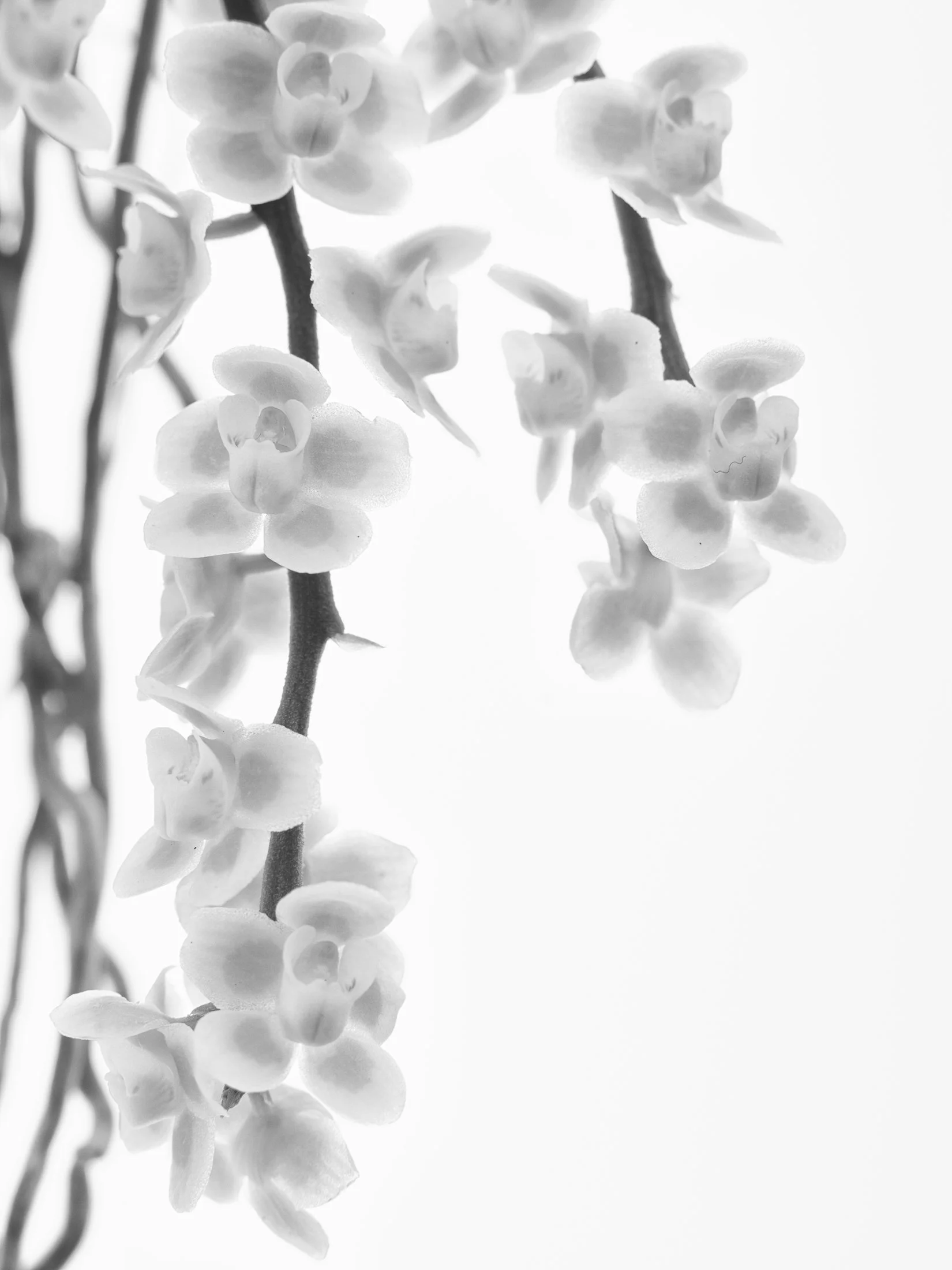 aw_DSF2672 Kopie.jpg