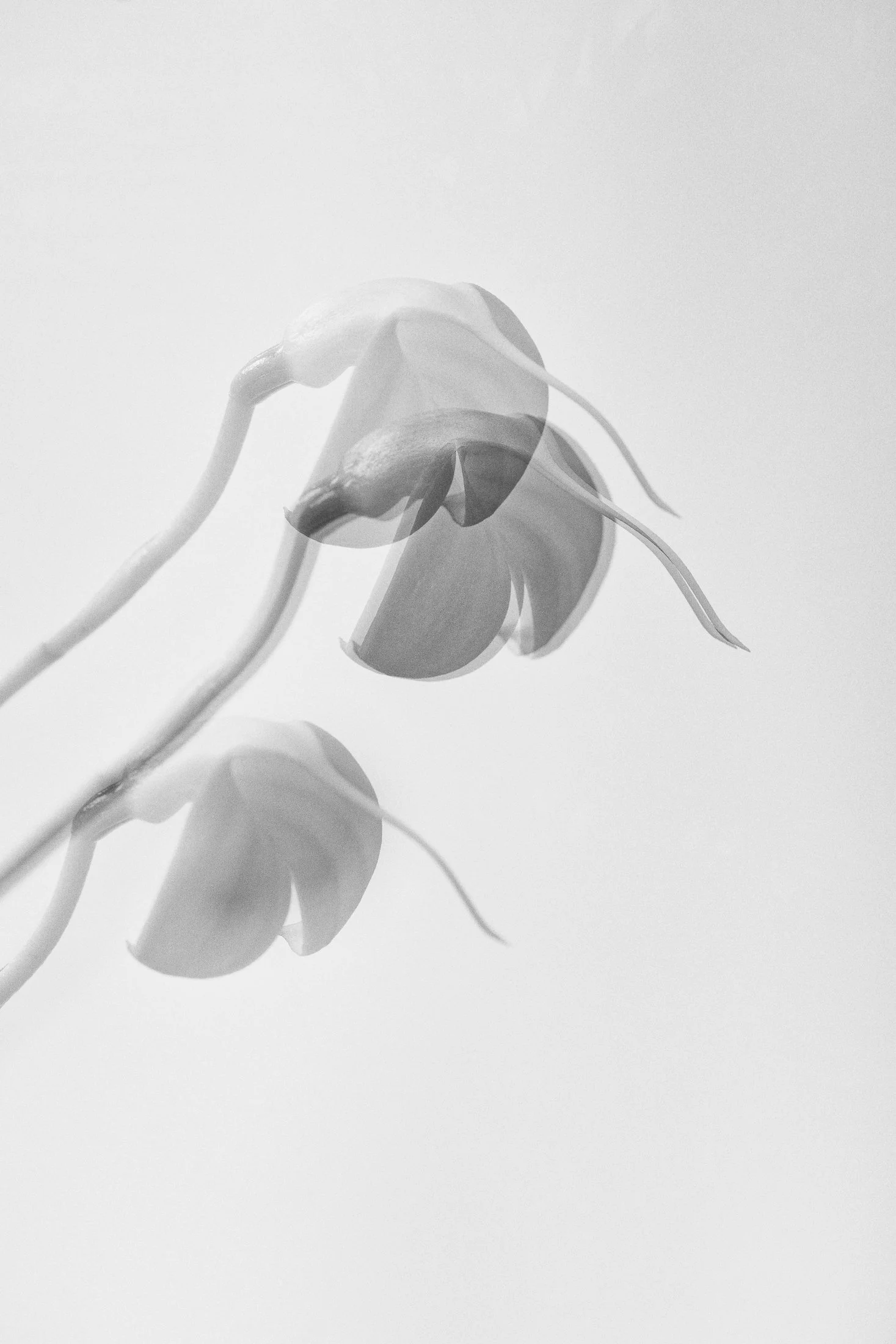 aw_DSF3272 Kopie.jpg