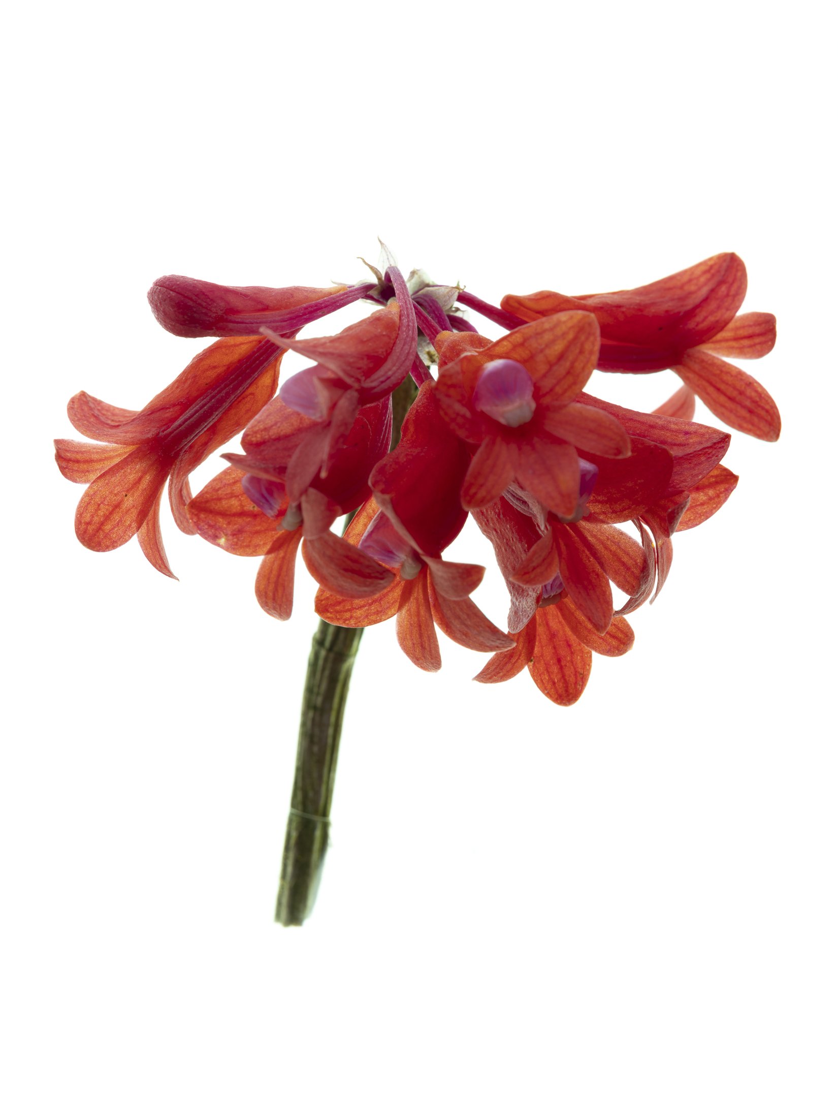 aw_DSF2292 Kopie.jpg