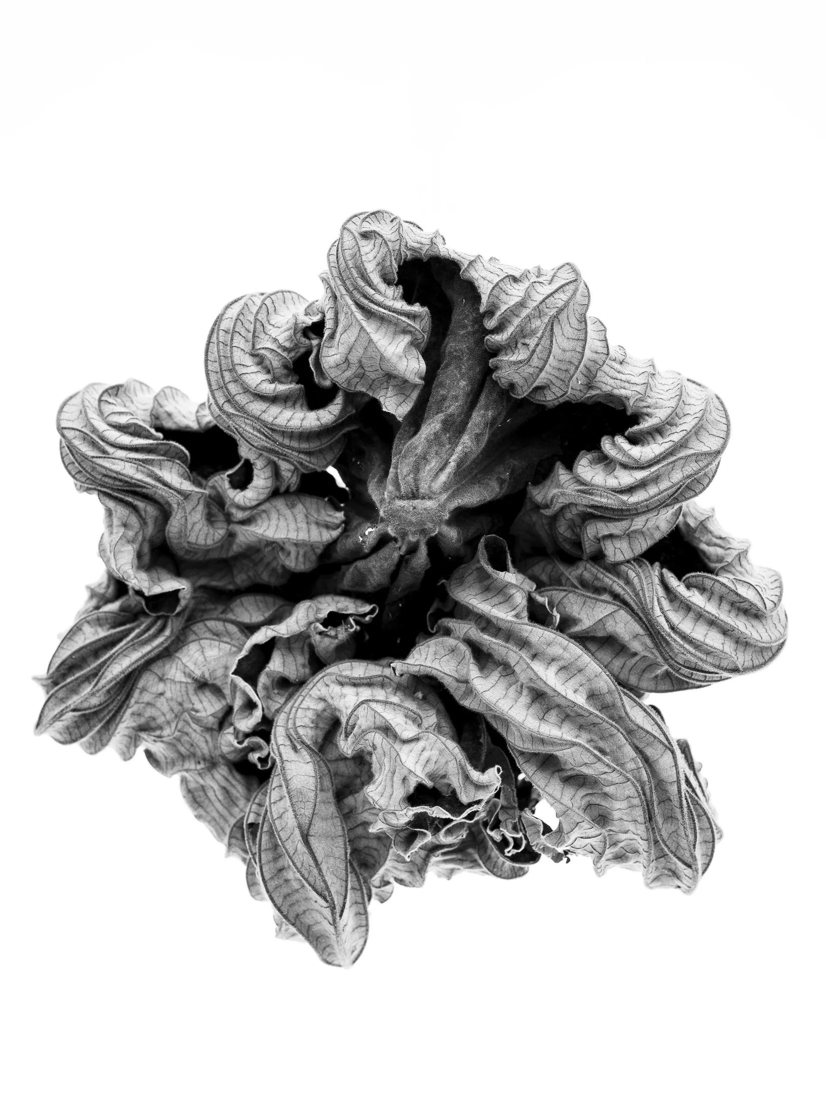 aw_DSF3121 Kopie1.jpg