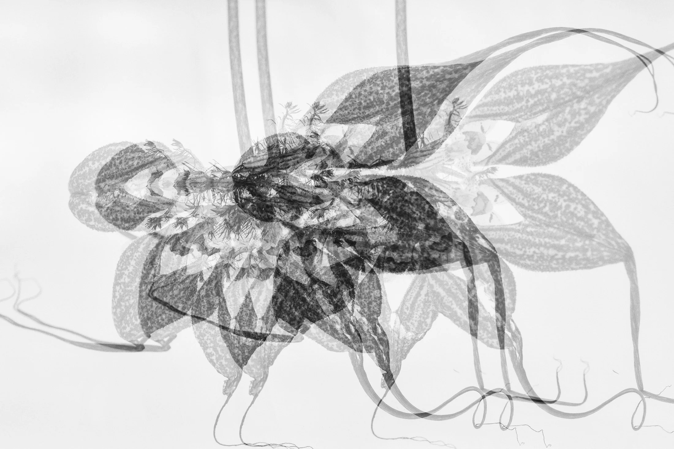 aw_DSF3276 Kopie.jpg