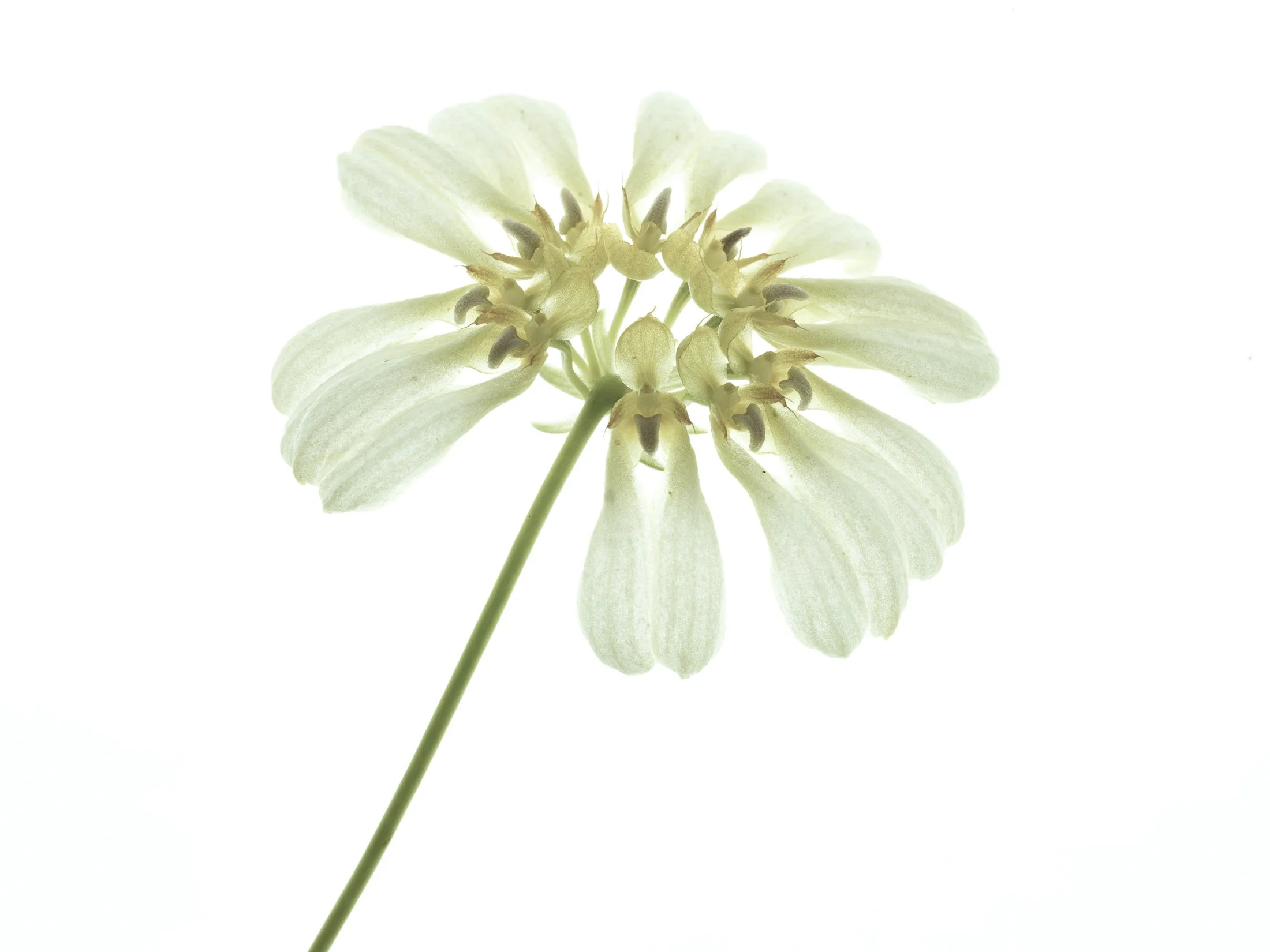 aw_DSF2333 Kopie.jpg